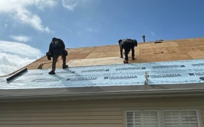Is a Full Roof Replacement Always Necessary? Expert Insights