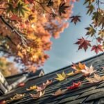 Roof Maintenance Tips