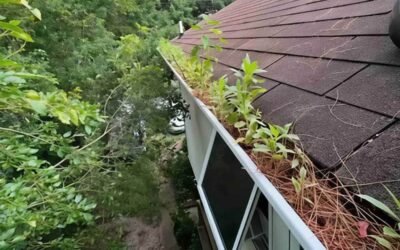 Clean Gutters, Happy Roof: Why Fall Gutter Cleaning is Crucial